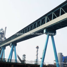 Chemical Industry Conveyor / Mine Conveyor / Mining Conveyor